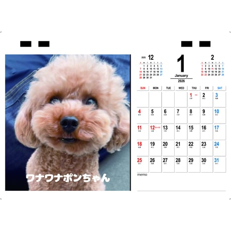 【予約販売】 ワナワナポンちゃん トイプードル 犬 2026年 卓上半面 カレンダー TC26020