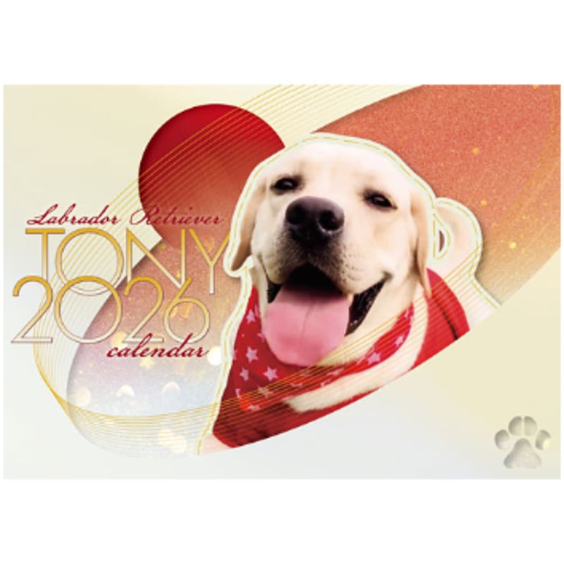 予約販売】 TONY ラブラドールレトリバー 犬 2026年 壁掛けカレンダー