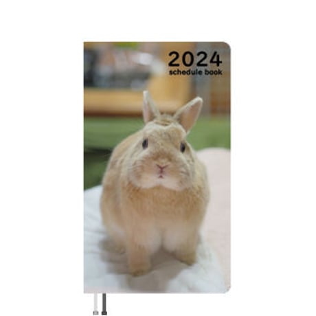 【予約販売】 うさぎの毎日がかんぺい 2024年 ポケットサイズ スケジュール帳 PO24040