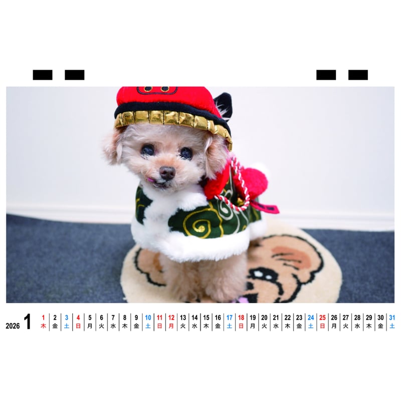 予約販売】 トイプードルのクレマ 犬 2026年 卓上カレンダー TC26073