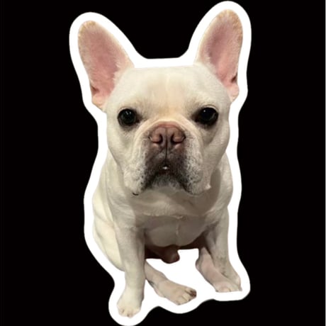 【予約販売】 ふく フレンチブルドッグ 犬 ステッカーNo26 3枚セット SU026NN