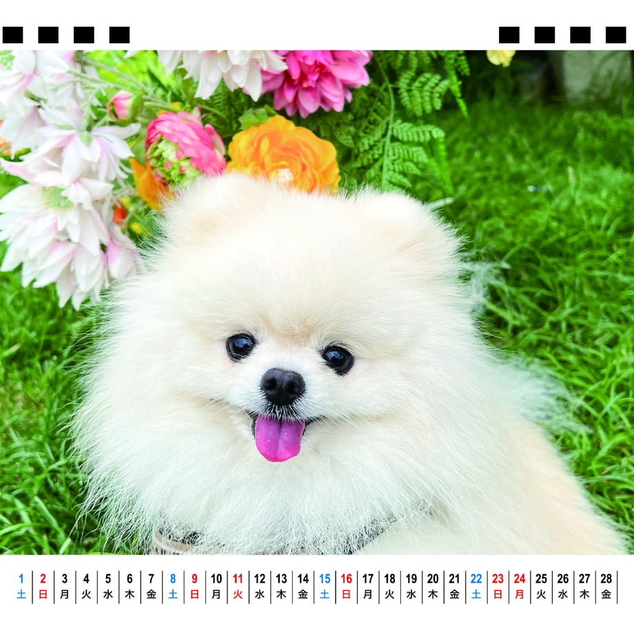 66f666094961f5000103571e
