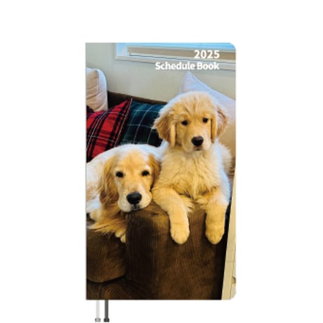 【予約販売】 ゴールデンレトリバー犬のコメ&イクラ 2025年 ポケットスケジュール帳 PO25368