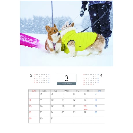 【予約販売】 ノエル&モナ コーギー 犬 2026年 壁掛け カレンダー KA26333