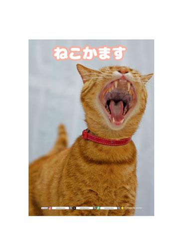 予約販売】 ねこかます 2025年 家計簿帳 CA25106 | ANISTAR