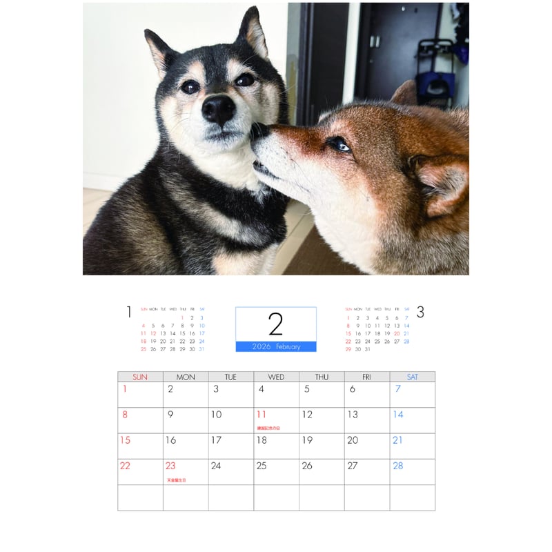 予約販売】 柴犬のあず花 2026年 壁掛け カレンダー KA26069 | ANISTAR