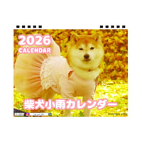 【予約販売】 柴犬 小雨 2026年 卓上半面 カレンダー TA26006