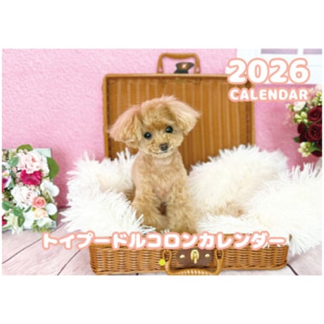 【予約販売】 トイプードルのコロン 犬 2026年 壁掛けカレンダー KA26147