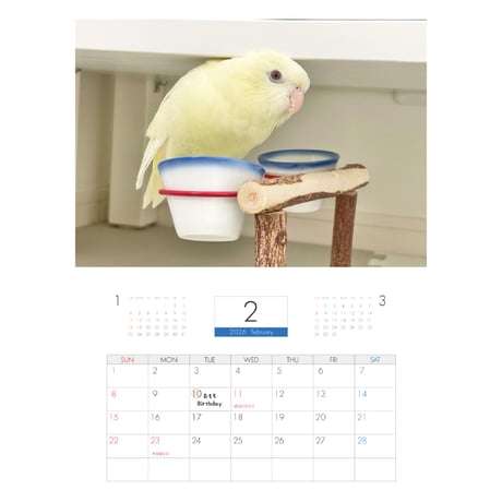 【予約販売】 2羽と暮らすあんずちゃんねる インコ 2026年 壁掛け カレンダー KA26341