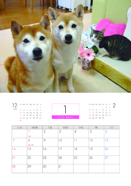  柴犬 はなちゃん＆まるちゃん 2024年 壁掛け カレンダー KK24095