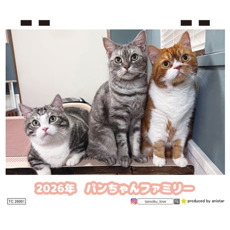 【予約販売】 パンちゃんファミリー 猫 2026年 卓上カレンダー TC26164