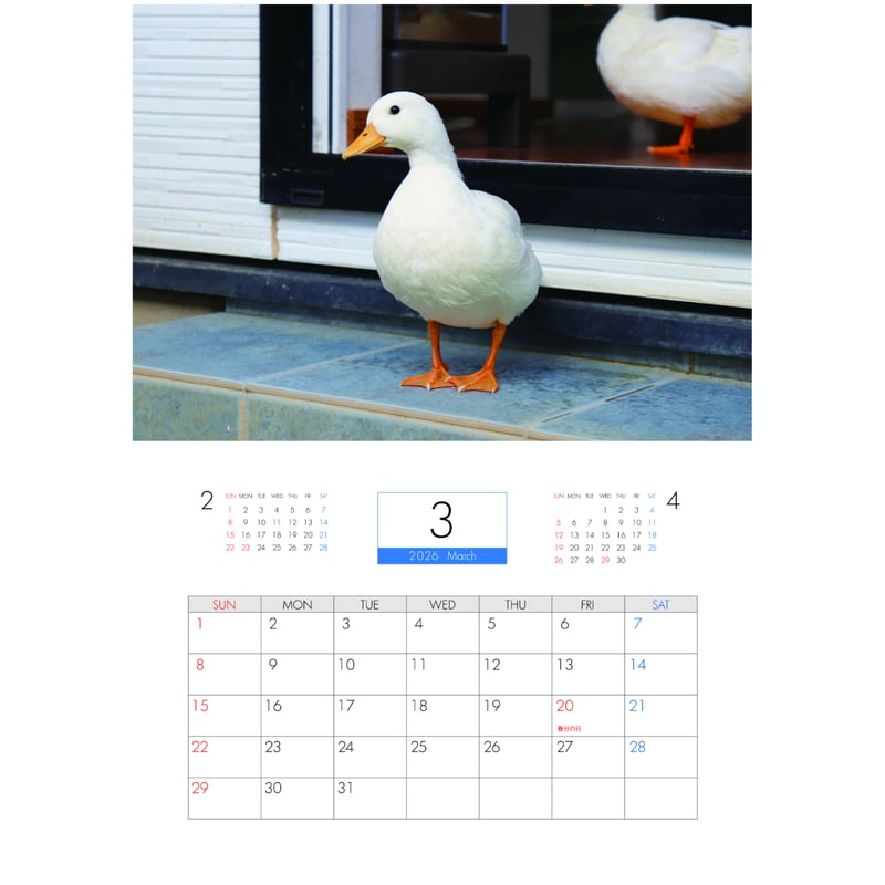 予約販売】 Ryuzo Arts アヒル 2026年 壁掛けカレンダー KK26099 |