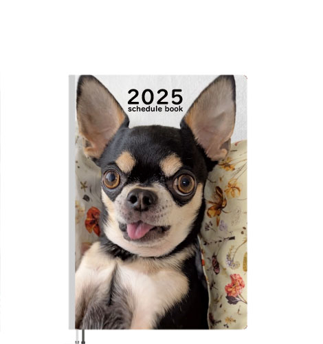 ไบ็ด่ฒฉๅฃฒใ ใใฏใฏ็ฌใฎใกใใใ็ๆดป 2025ๅนด A5ในใฑใธใฅใผใซๅธณ A525030 | AN ไบ็ด่ฒฉๅฃฒใ ใใฏใฏ็ฌใฎใกใใใ็ๆดป 2025ๅนด A5ในใฑใธใฅใผใซๅธณ A525030 | AN