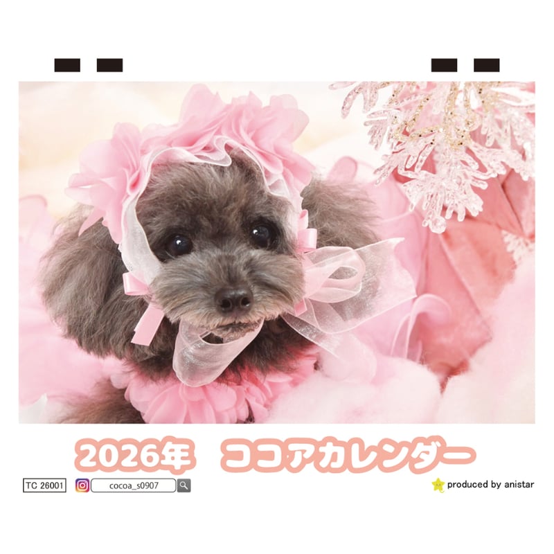 ❦ブランコトイプードル✩ご予約受付ページ❦ ❦ブランコトイプードル✩ご予約受付ページ❦ ❦トイプードルと