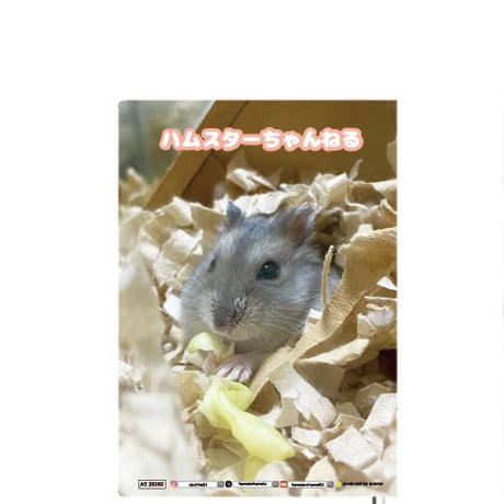 【予約販売】 ハムスターちゃんねる 2026年 A5スケジュール帳 A526360