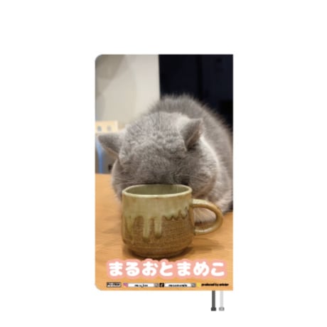 【予約販売】 まるおとまめこ 猫 2027年 ポケットスケジュール帳 PO27031