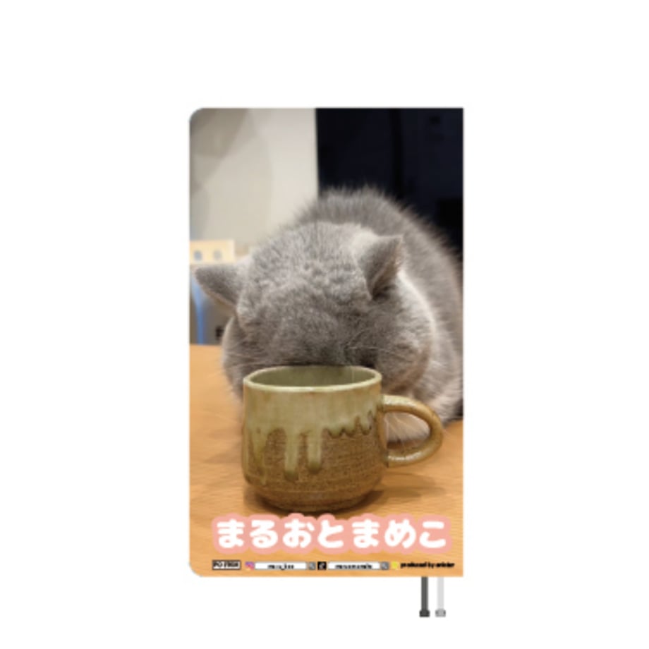 6a9961f9d356f700019cc1ed