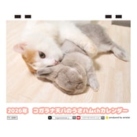 【予約販売】 うさぎのコガラナ天パのうさハムch 2026年 卓上カレンダー TC26191