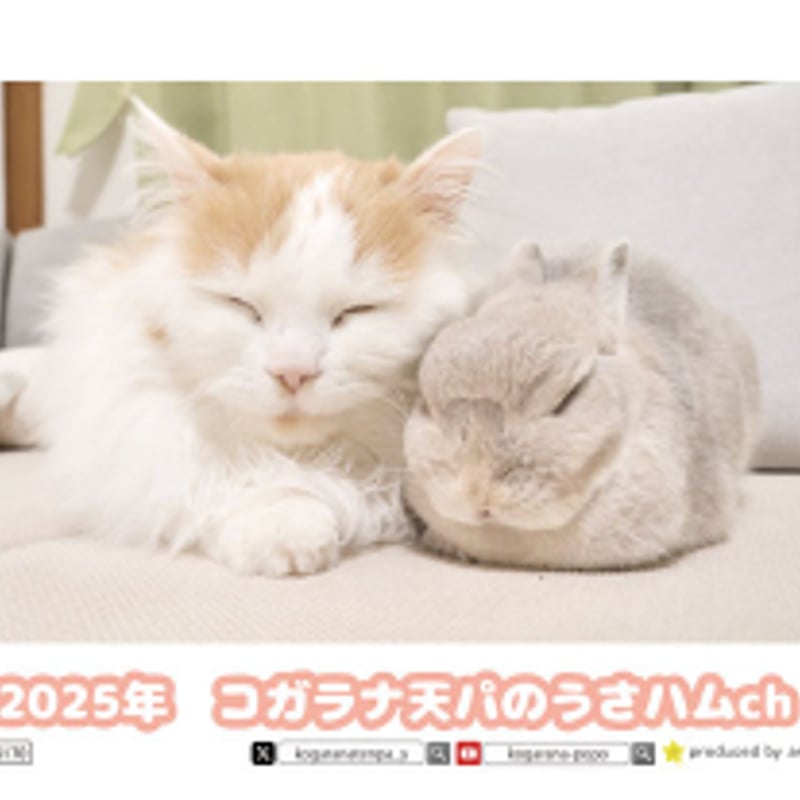 予約販売】 うさぎのコガラナ天パのうさハムch 2025年 ECO卓上