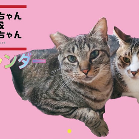 【予約販売】 猫のリキちゃんねる 2024年 壁掛け カレンダー KK24229