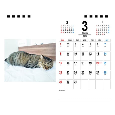 【予約販売】 しぴ＆おこめ 猫 2026年 卓上カレンダー TA26243