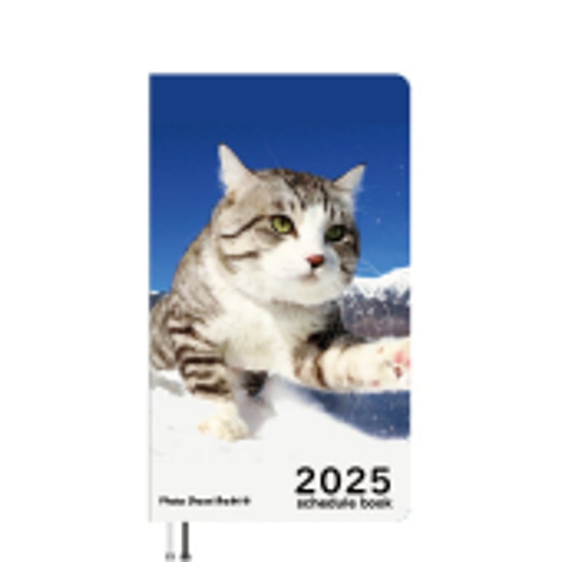 ニャン吉様確認用