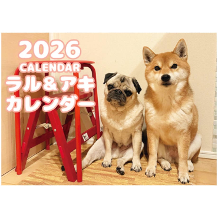 68dc70efd917113fe1340962