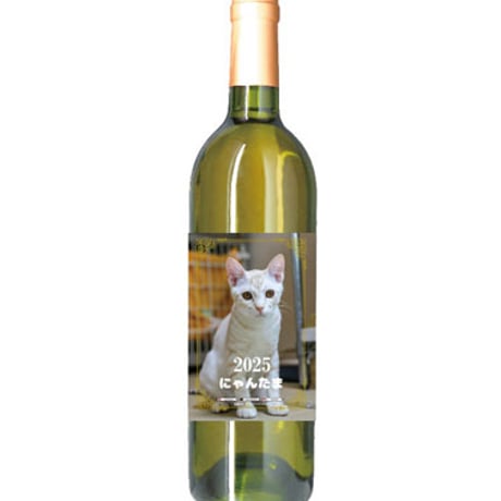 CATEGORY にゃんたま | ANISTAR