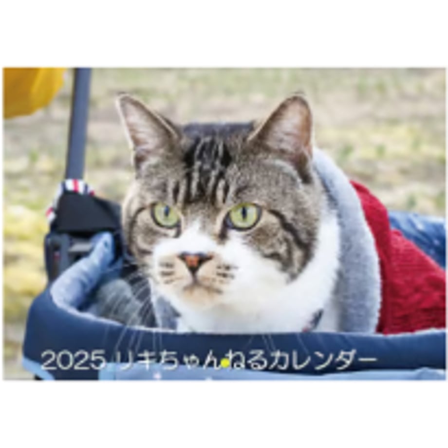 66f6aa5b9797c7000104cc35