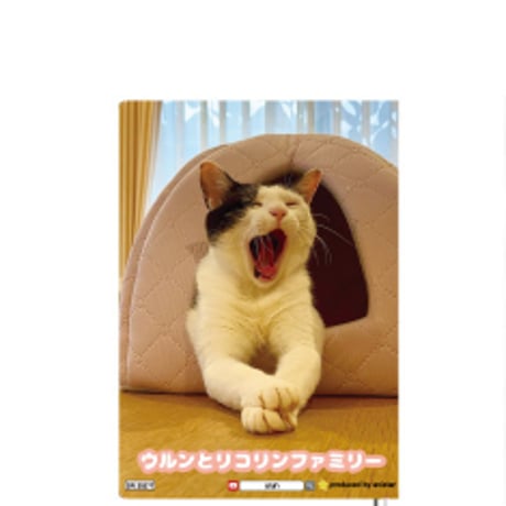 【予約販売】 猫のウルン＆リコリン 2025年 日記帳 DR25277