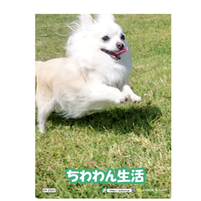 予約販売】 チワワ犬のちわわん生活 2025年 日記帳 DR25031 | ANISTAR