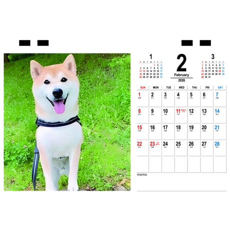 【予約販売】 柴犬の栗太郎 2026年 卓上カレンダー TC26219