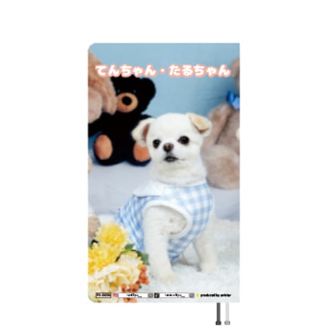 【予約販売】 てんちゃん・たるちゃん 犬 2026年 ポケットスケジュール帳 PO26259