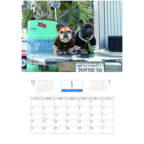 【予約販売】 フレンチブルドッグ torus トーラス 犬 2026年 壁掛け カレンダー KK26034