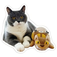 【予約販売】 猫のウルン＆リコリン シール 5枚セット SE021NN