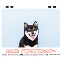 【予約販売】 豆柴ごま娘 犬 2026年 卓上 カレンダー TC26316