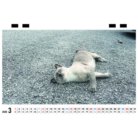 【予約販売】 ねころぐ マレーシアの街のねこたち 猫 2026年 卓上 カレンダー TC26320