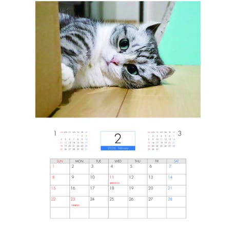【予約販売】 猫のこまる 2026年 壁掛けカレンダー KA26138