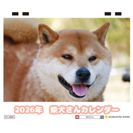 【予約販売】 柴犬さん 2026年 卓上全面 カレンダー TC26001