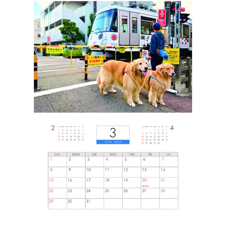 【予約販売】 コメ&イクラ ゴールデンレトリバー 犬 2026年 壁掛け カレンダー KK26285