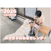 【予約販売】 ゴールデンレトリバー メイ 犬 2026年 壁掛け カレンダー KK26079