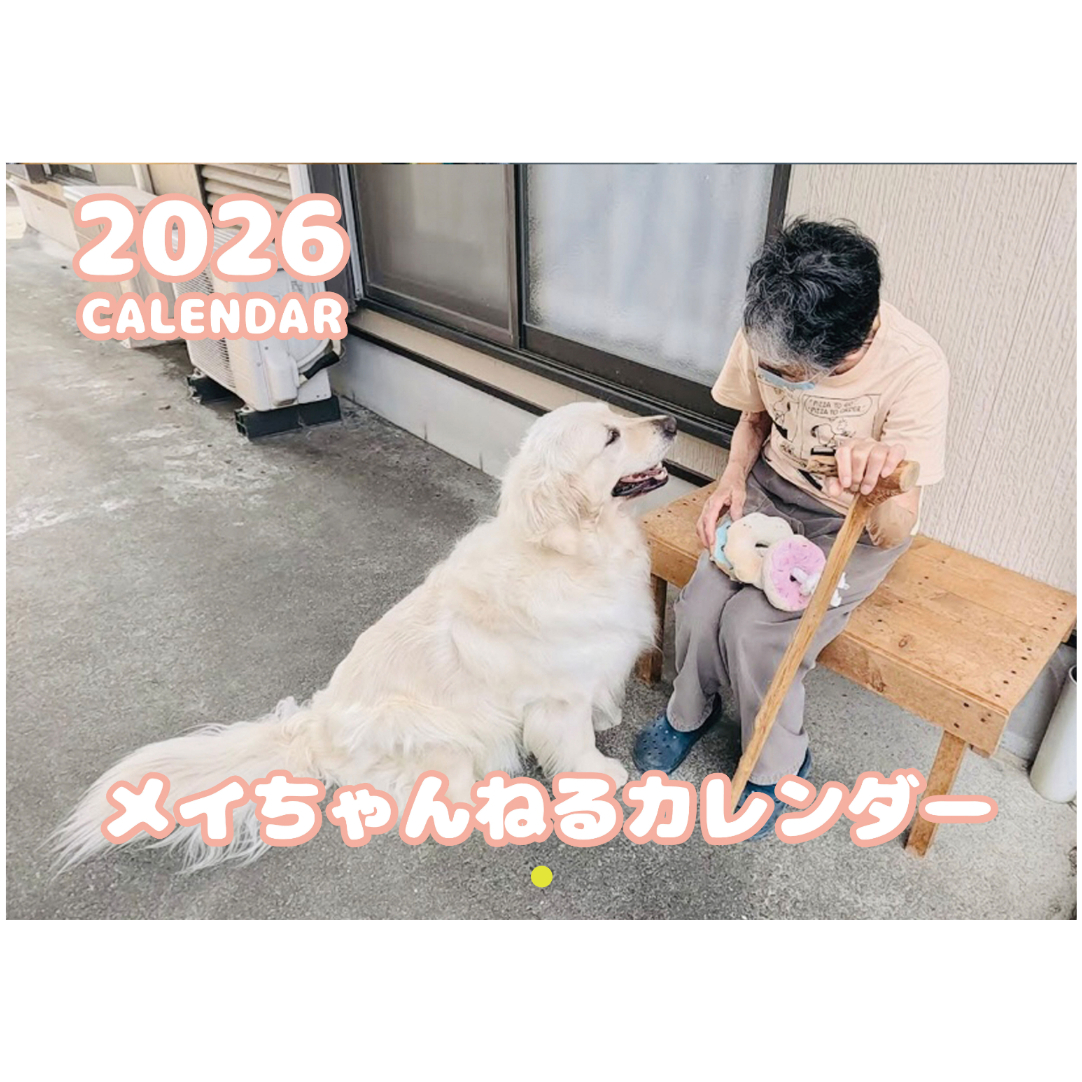 予約販売】 ゴールデンレトリバー メイ 犬 2026年 壁掛け カレンダー