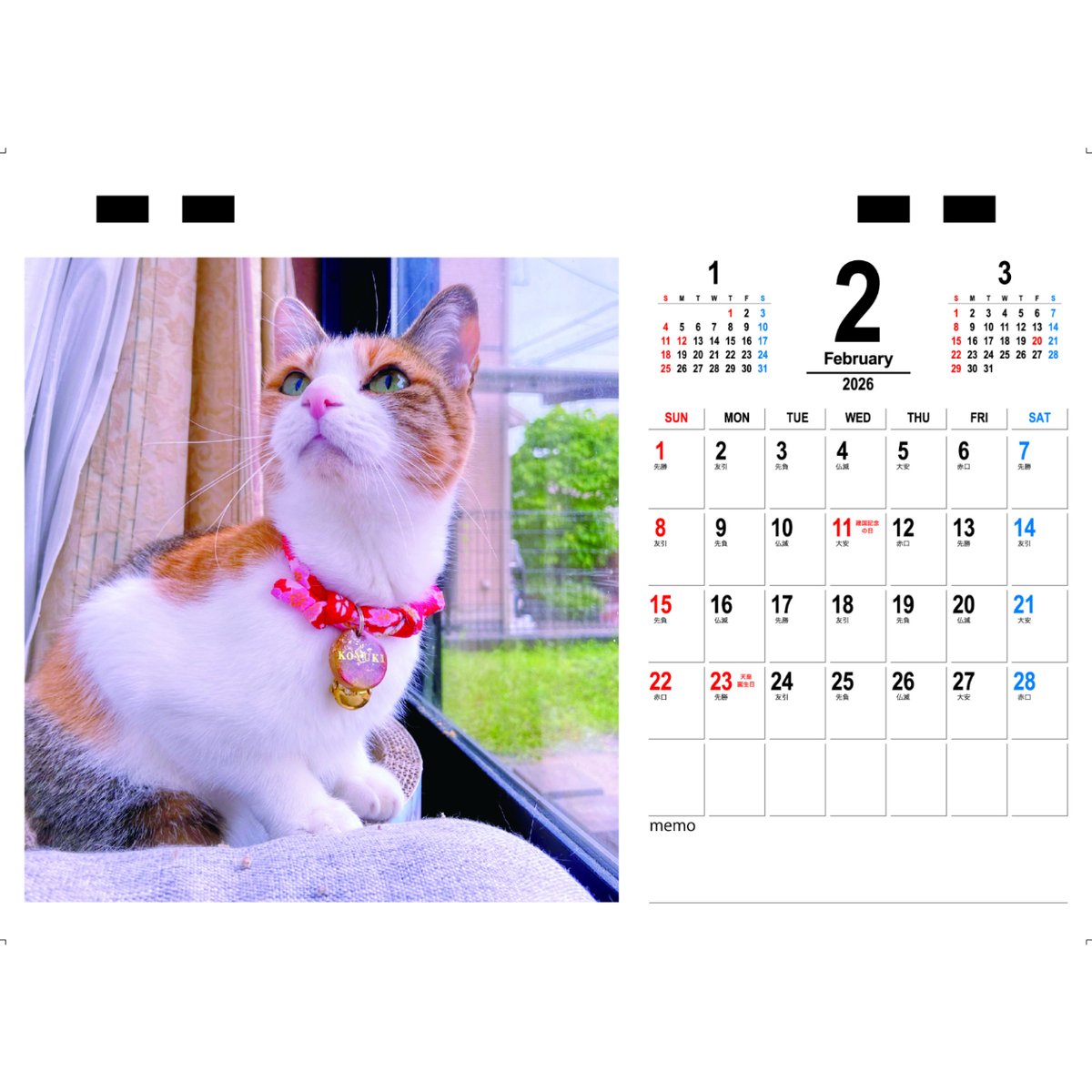 『タイムセール』クリスマス☆猫ちゃん mqdefault.jpg
