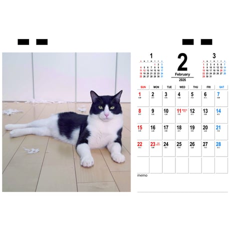【予約販売】 猫のウルン＆リコリン 2026年 卓上 カレンダー TC26298