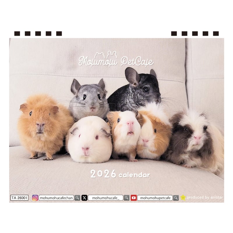 もふもふページ 予約販売】 もふもふペットCafe モルモット チンチラ 2026年