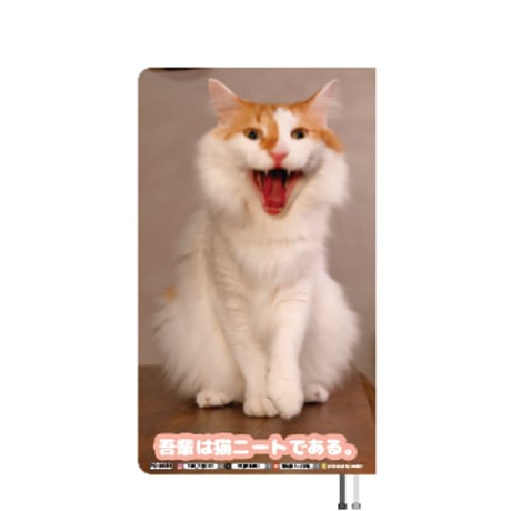 【予約販売】 吾輩は猫ニートである。 びび 2026年 ポケットスケジュール帳 PO26355