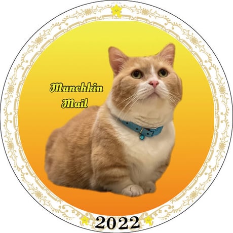 【予約販売】 猫 まいるんち 2022年 イヤープレート皿立て付き PU2205