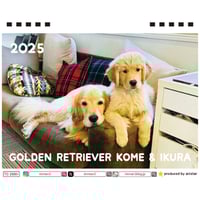【予約販売】 ゴールデンレトリバー犬のコメ&イクラ 2025年 卓上半面 カレンダー TC25354