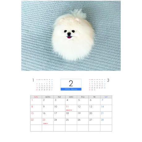 【予約販売】 ポテチ 犬 猫のレモンと犬のポテチちゃんねる 2026年 壁掛け カレンダー KA26304