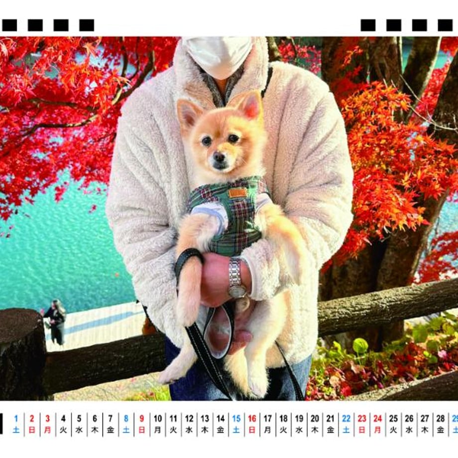66f666844961f50001035769